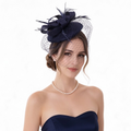 Feather Mesh Veiled Sinamay Pillbox Fascinator Hat